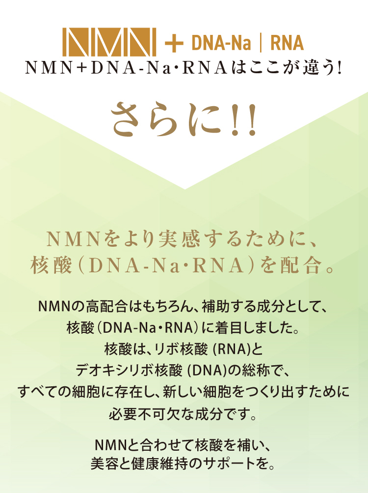 NMN+DNA-Na・RNAはここが違う！ さらにNMNをより実感するために、核酸（DNA-Na・RNA）を配合。 NMNの高配合はもちろん、補助する成分として、核酸（DNA-Na・RNA）に着目しました。核酸は、リボ核酸 (RNA)とデオキシリボ核酸 (DNA)の総称で、すべての細胞に存在し、新しい細胞をつくり出すために必要不可欠な成分です。NMNと合わせて核酸を補い、美容と健康維持のサポートを。