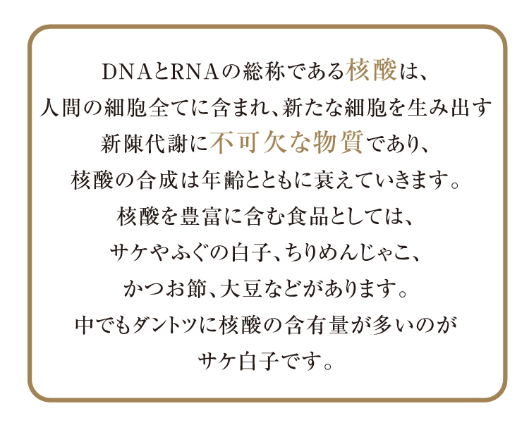 DNAとRNAの総称である核酸は、人間の細胞全てに含まれ、新たな細胞を生み出す新陳代謝に不可欠な物質であり、核酸の合成は年齢とともに衰えていきます。核酸を豊富に含む食品としては、サケやふぐの白子、ちりめんじゃこ、かつお節、大豆などがあります。中でもダントツに核酸の含有量が多いのが、サケ白子です。